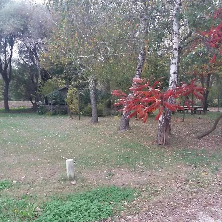 Large With Private Pool Holiday home Bribir (Primorje-Gorski Kotar)